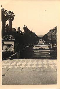 ALGER MAI 1956  JARDIN D ACCLIMATATION 2